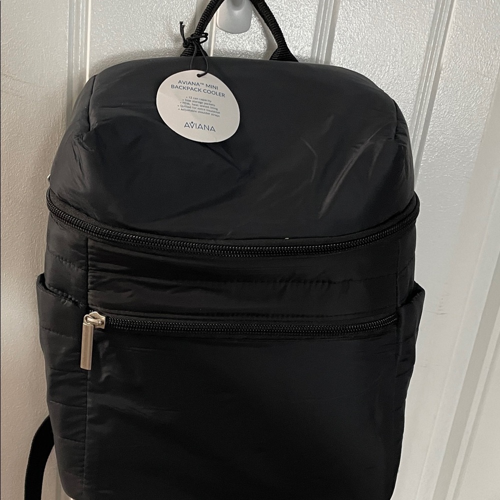 Aviana Sleek Black Backpack